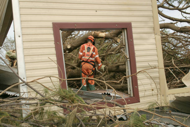 Best Tree and Shrub Care  in Waipio, HI